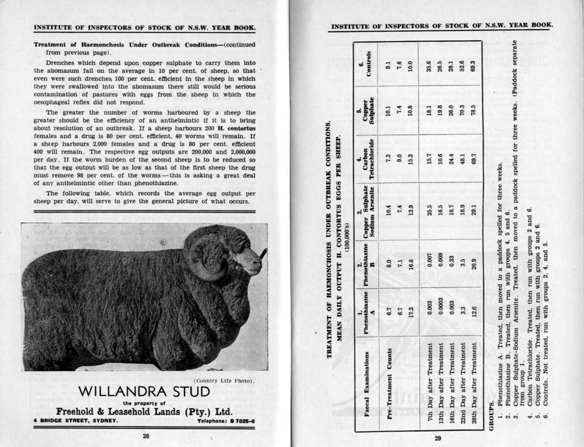 1944 Page 28 29